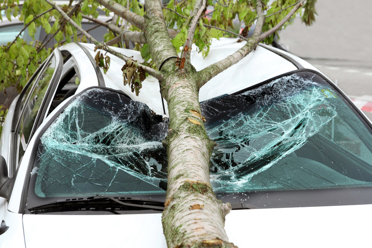 Auto Insurance Claim Windshield Damage